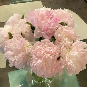 Meet your Posher, Goar